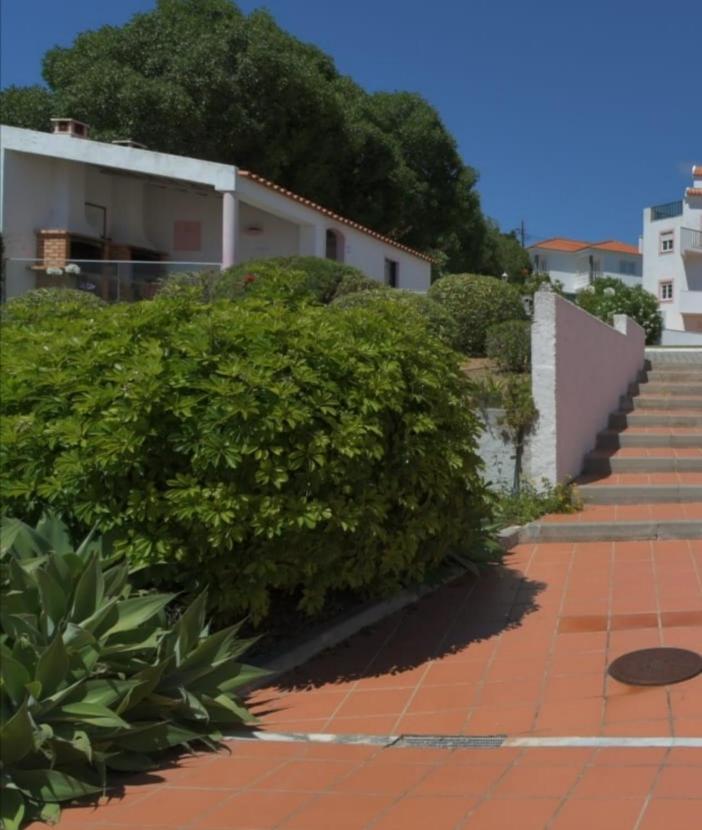 Granny'S House By Trip2Portugal Daire Carvoeira Dış mekan fotoğraf